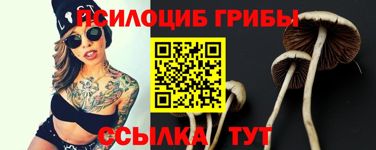 Псилоцибиновые грибы прущие грибы  Псилоцибиновые грибы прущие грибы  как найти закладки  Солнечногорск  Вход с VPN 